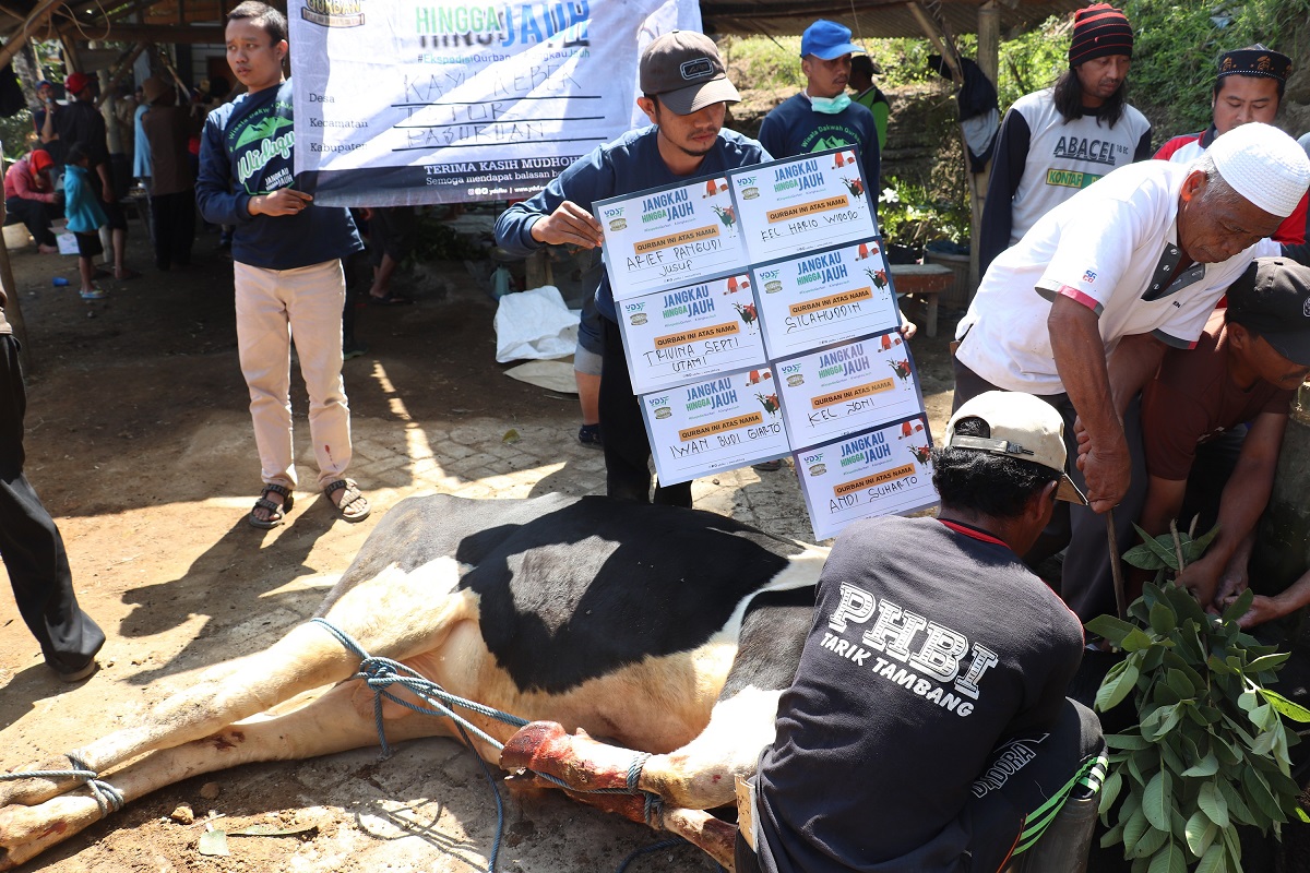 Hukum dan Dalil Qurban dalam Islam | YDSF - LAZNAS Yayasan Dana Sosial