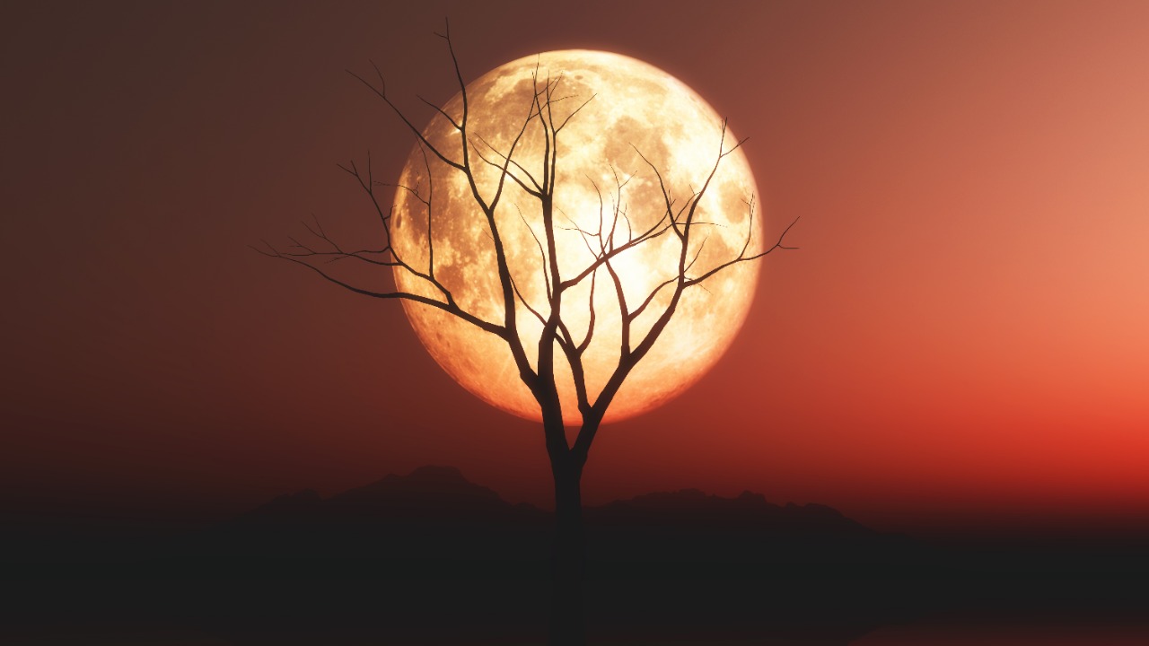 Menjadi Bulan Haram, Benarkah Rajab Adalah Bulan Allah? | YDSF - LAZNAS