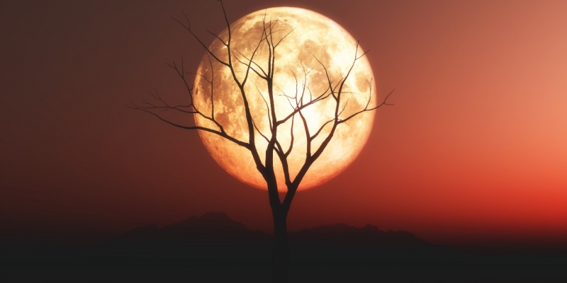 Menjadi Bulan Haram, Benarkah Rajab Adalah Bulan Allah? | YDSF