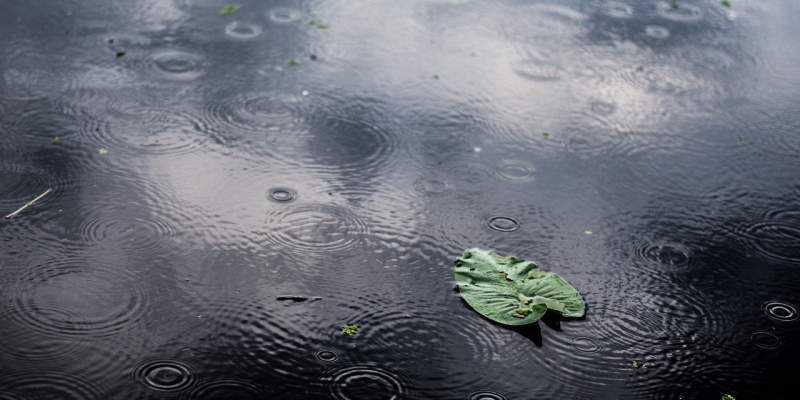 Amalan dan Doa Ketika Turun Hujan | YDSF