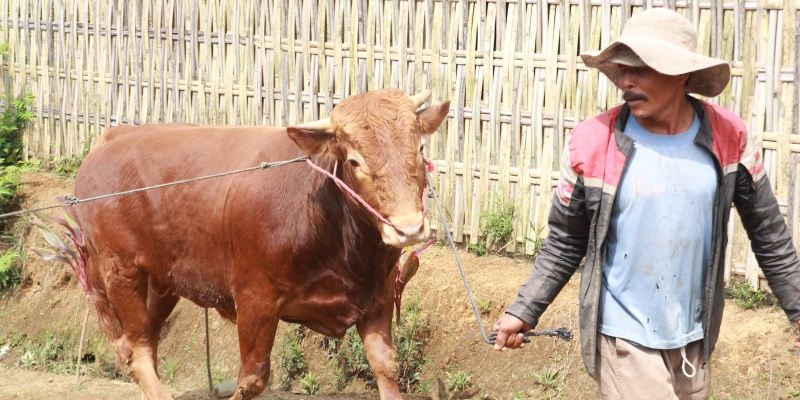 Qurbanmu Jangkau hingga Jauh YDSF