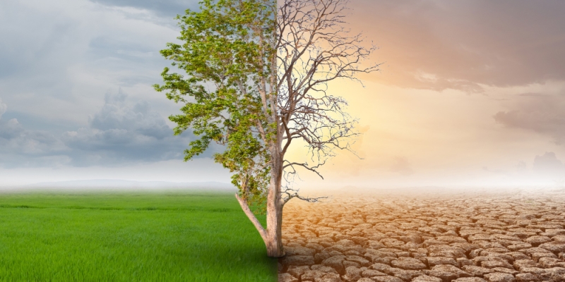 Perubahan Iklim Semakin Ekstrem | YDSF