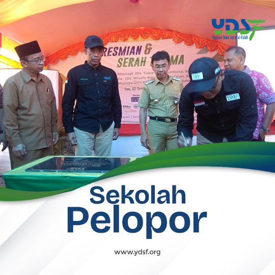 Sekolah Pelopor